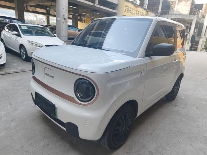 2024 Panda mini 200km Endurance Bear
