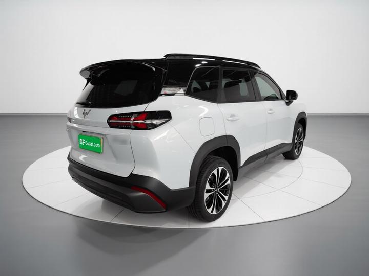 560 EV 2026 125km Luxury photo 4