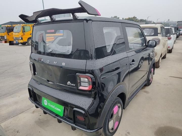 2025 210km Panda photo 4