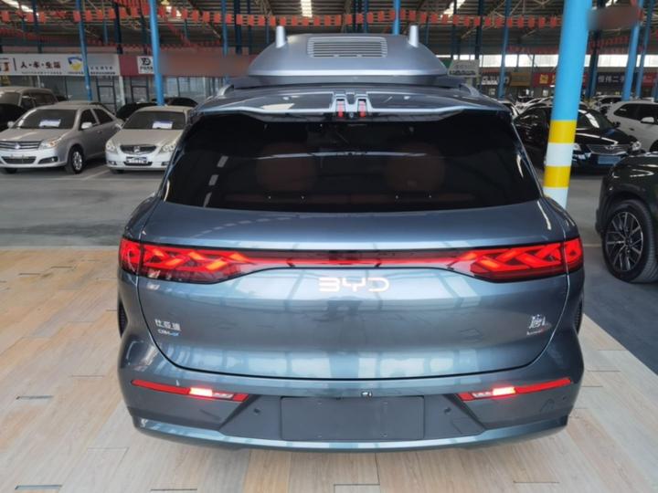 Tang L 2025 DM 175KM photo 3