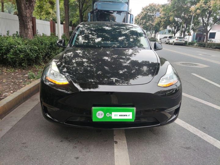 Model Y 2021 Long Range AWD 3D7 photo 2