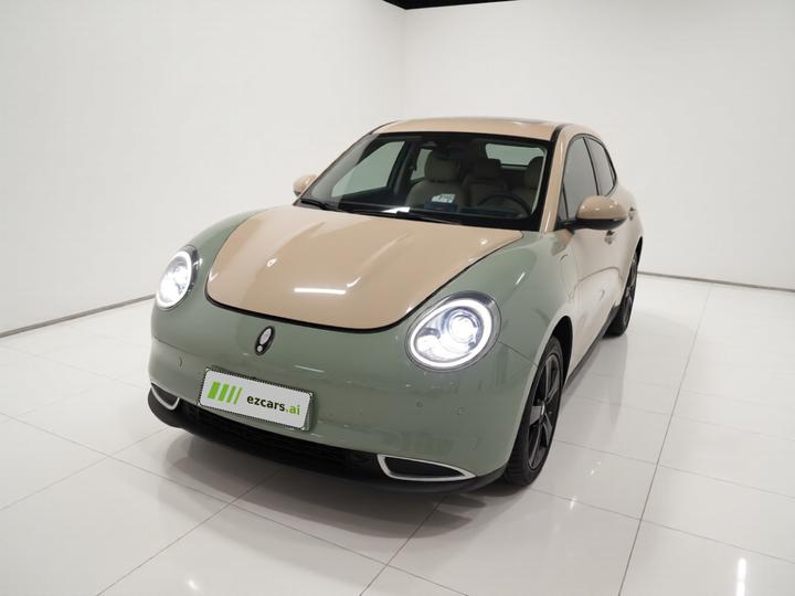 Good Cat 2024 401km Luxury