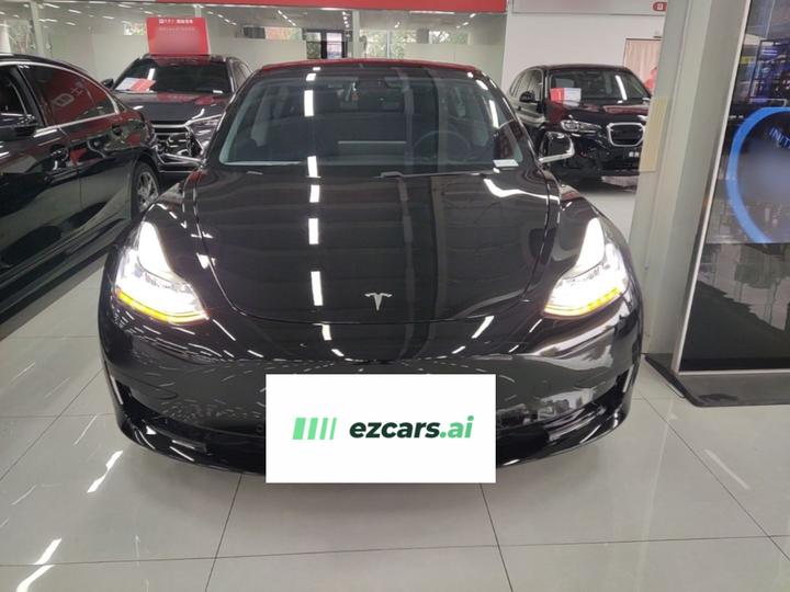 Model 3 2020 Standard Range RWD Upgraded photo 2