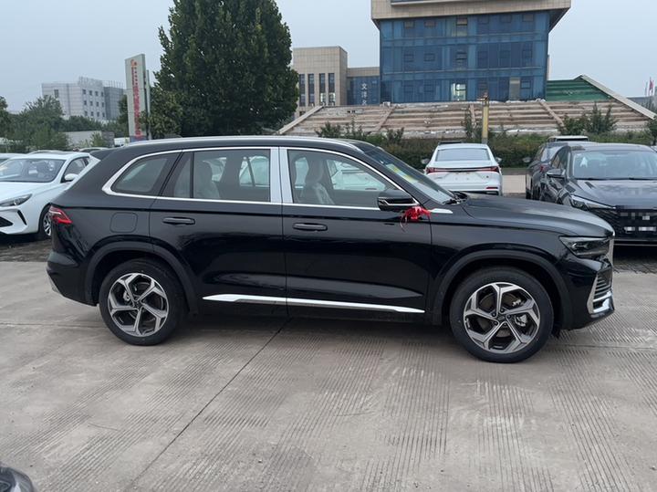 Xingyue L 2024 2.0TD DCT EVO RWD photo 3
