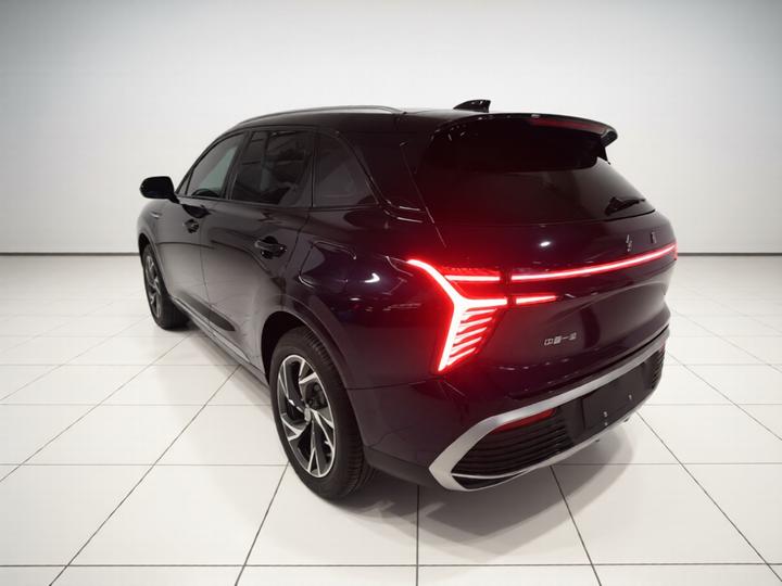 HS3 PHEV 2025 117km photo 4