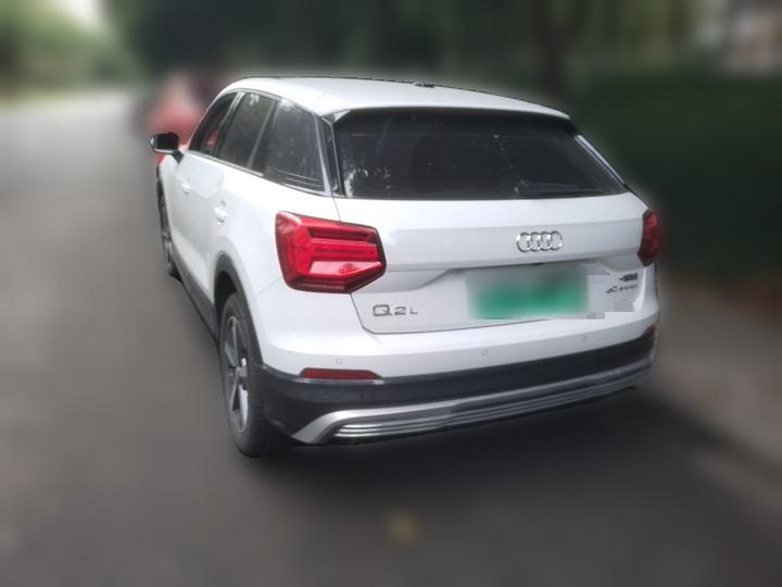 Q2L e-tron 2019 Q2L e-tron EV Smart photo 4