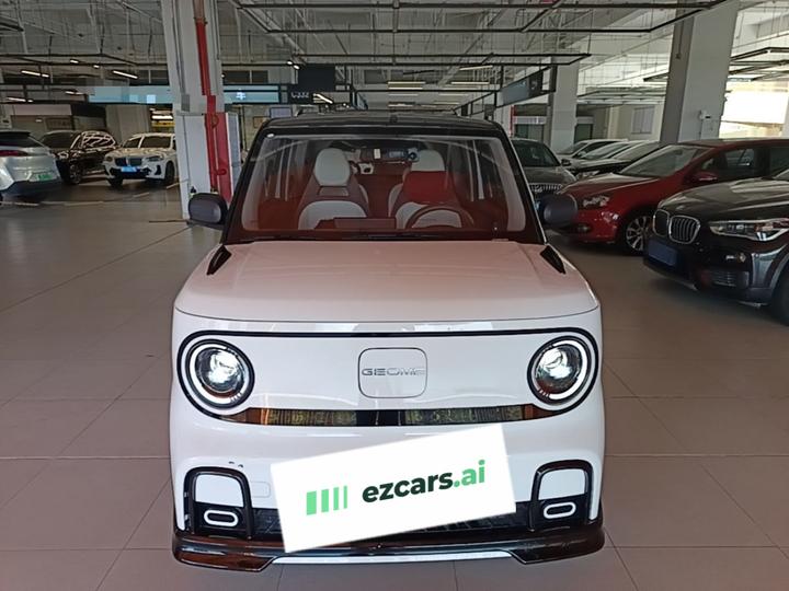 2025 210km Panda photo 2