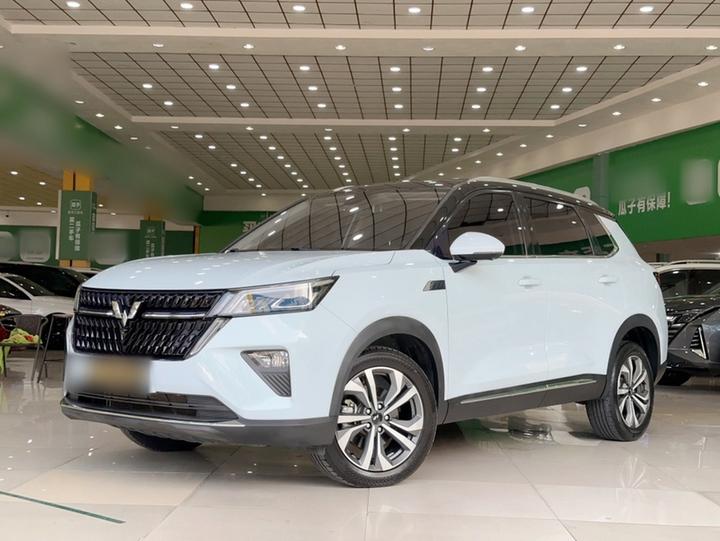 Wuling 2022 2.0L DHT