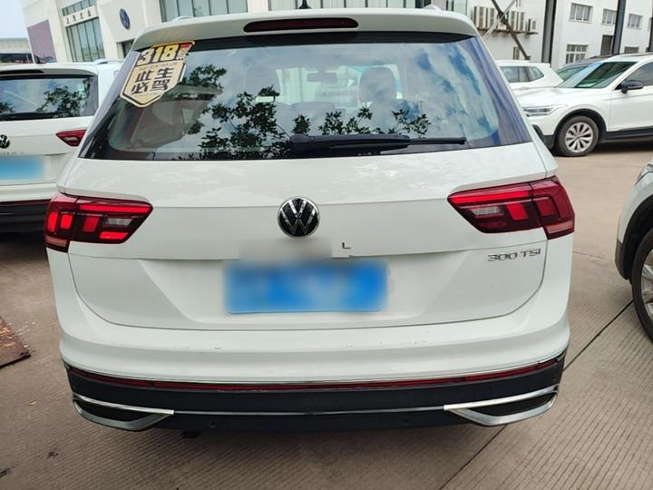 Tiguan L 2024 300TSI AT RWD photo 3