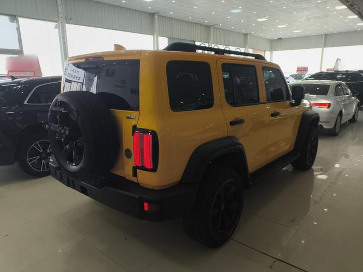 300 2021 Off-road 2.0T photo 4