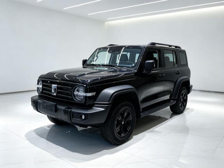 300 2023 Off-road 2.0T Conqueror