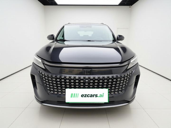 Bluelectric E5 2024 Honor 100KM 7-Seater photo 2