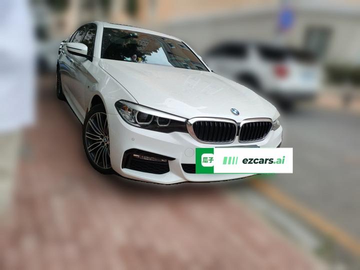 5 Series 2018 530Li xDrive M Sport Package photo 3