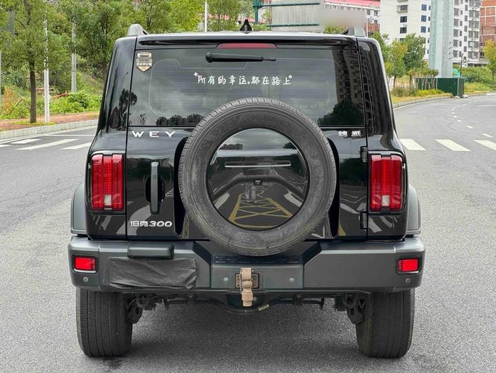 300 2021 Off-road 2.0T Conqueror photo 6