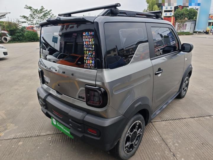2024 200km Panda photo 6