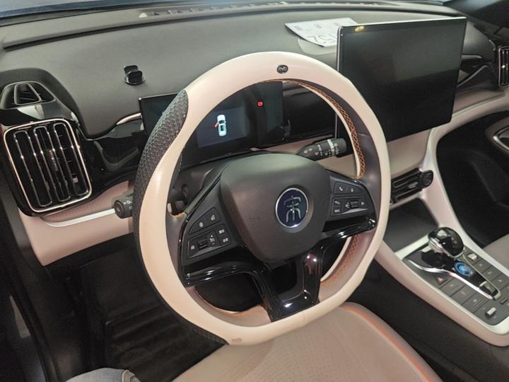 Song Pro EV 2024 Honor DM-i 71KM Pilot photo 2