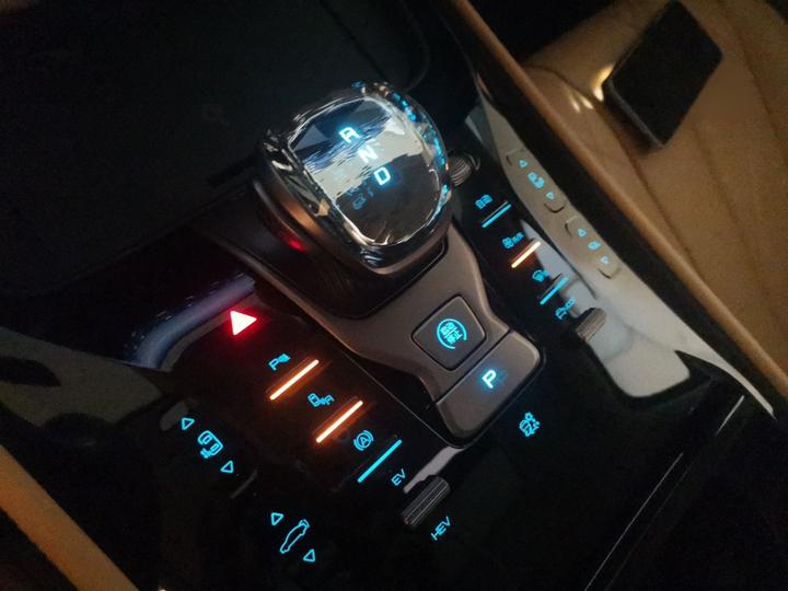 D9 2022 DM-i 970 AWD Noble photo 6