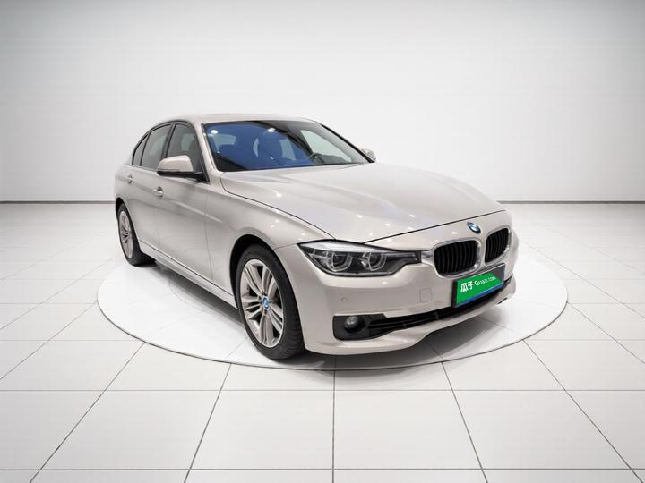 3 Series 2016 320Li Progressive photo 3
