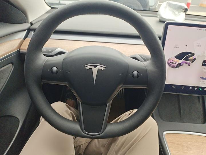 Model 3 2021 Performance AWD photo 6