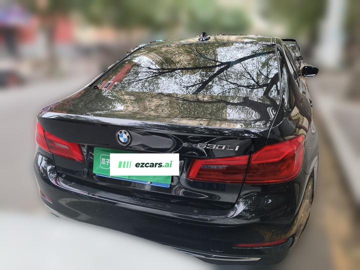 5 Series 2019 Facelift 530Li Leading Luxury photo 5