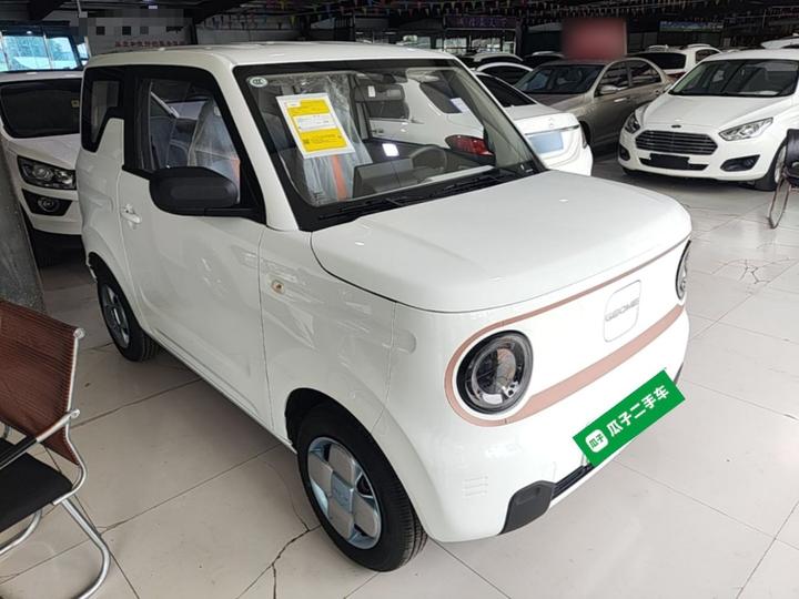 2024 Panda mini 200km Endurance Bear photo 3