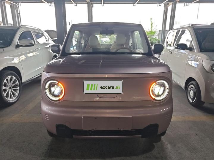 2023 Panda mini 200km Endurance Bear photo 2