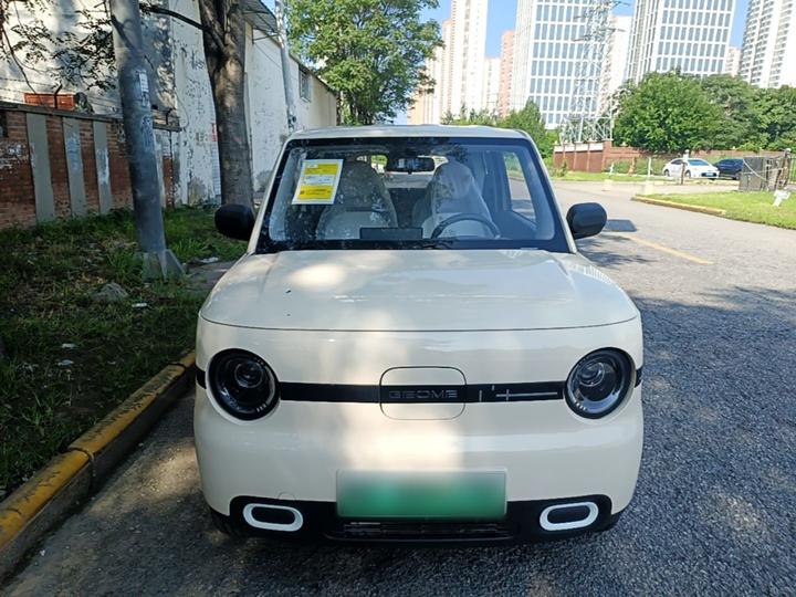 2025 Panda mini 210km Yuan photo 2