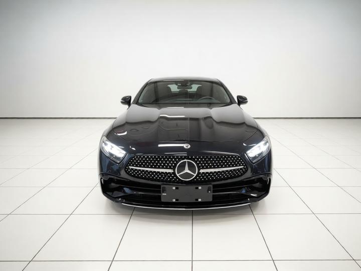 CLS 2023 CLS 300 Dynamic photo 2