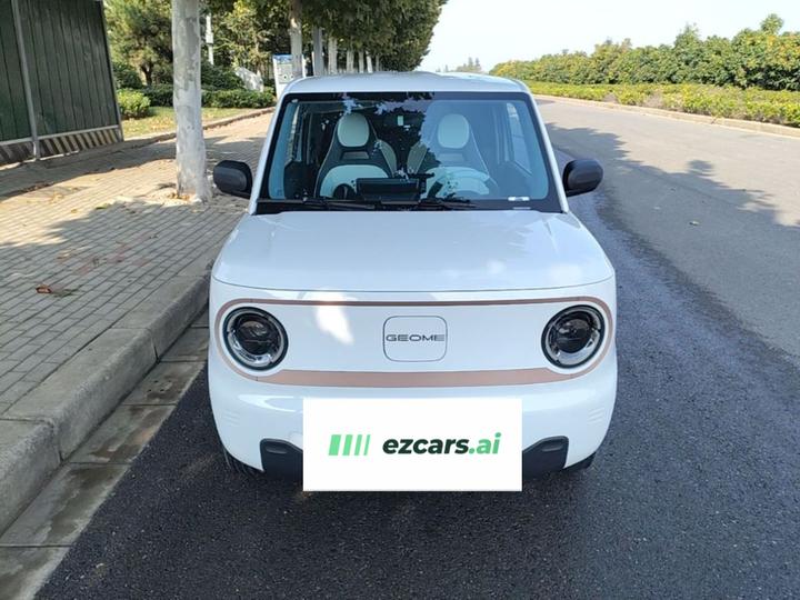 2024 Panda mini 200km Endurance Bear photo 2