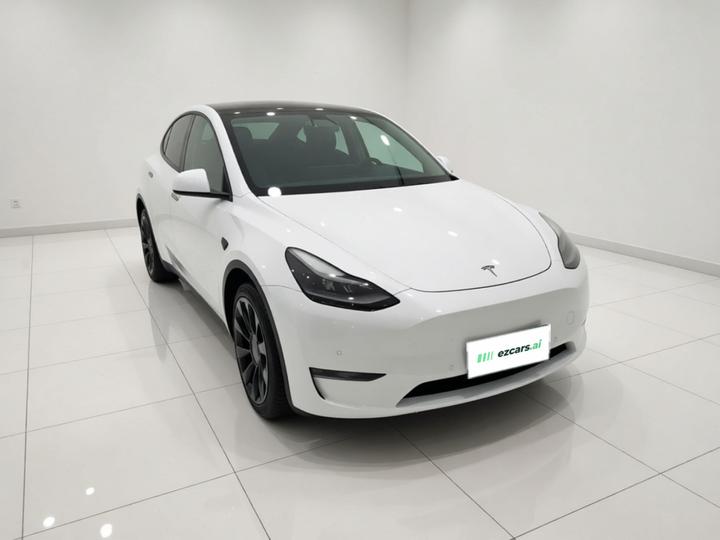 Model Y 2021 Long Range AWD photo 3