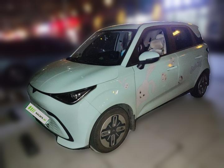 2025 Mate 300km LX