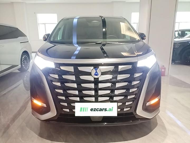 D9 2024 DM-i 980 AWD Premium photo 2