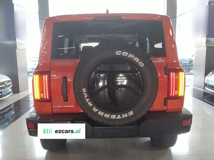 300 2021 Off-road 2.0T Conqueror photo 5