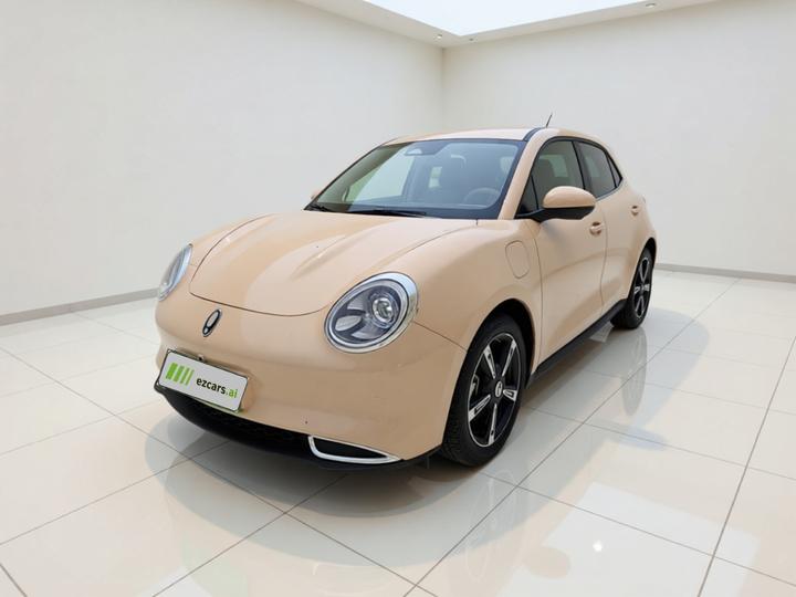 Good Cat 2024 401km Luxury