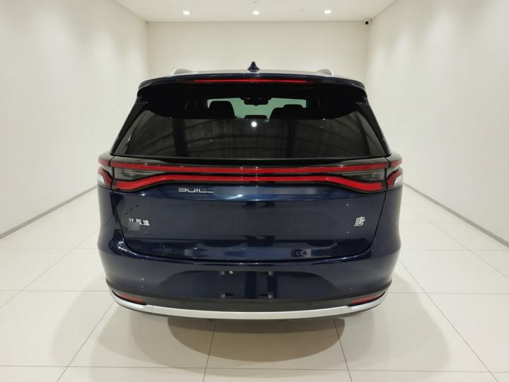 Tang EV 2021 EV AWD Performance Noble photo 5