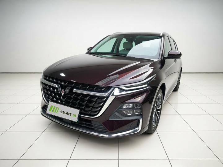 Wuling 2023 2.0L DHT