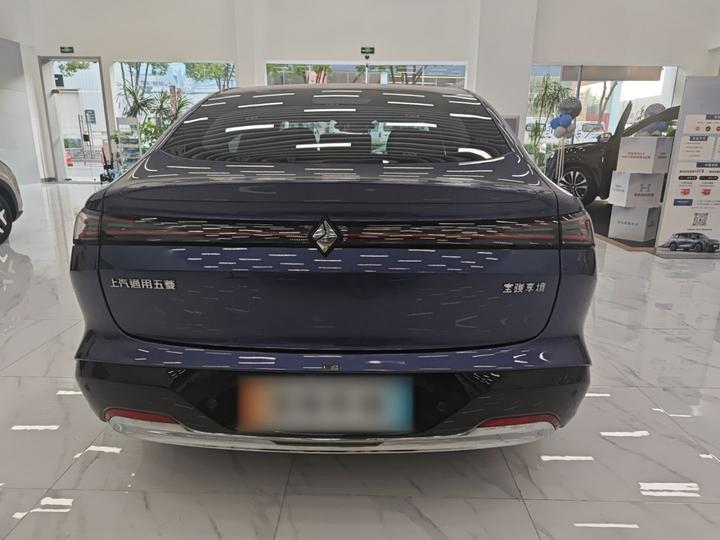 2025 EV 600km Standard photo 2