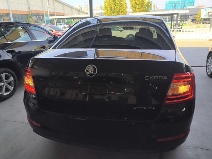 Octavia 2015 1.6L AT photo 5