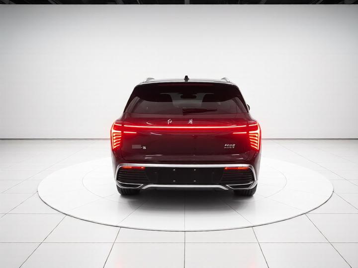 HS3 PHEV 2024 115km photo 5