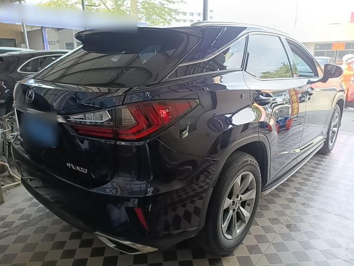 RX 2016 300 RWD Elite China V photo 6