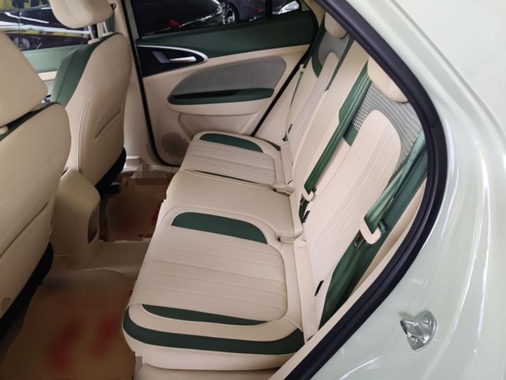Good Cat 2024 401km Luxury photo 5