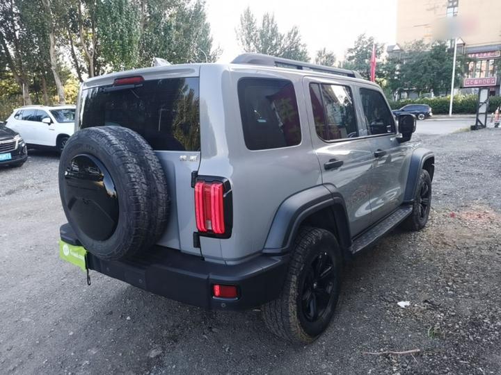 300 2021 Off-road 2.0T Conqueror photo 6