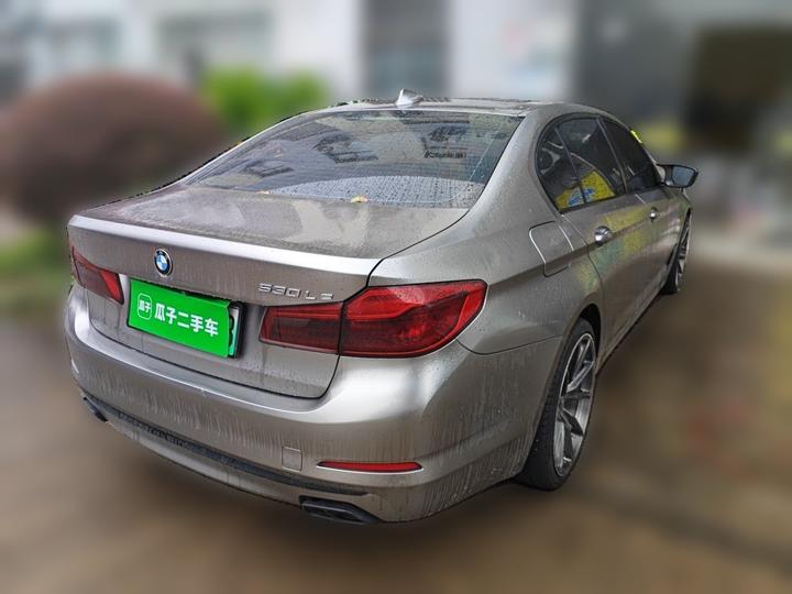5 Series EV 2020 530Le Luxury photo 6