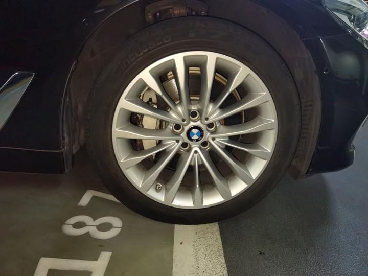 5 Series 2020 530Li Exclusive Luxury photo 8