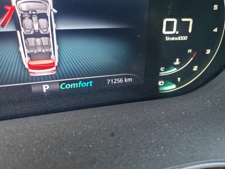 RX5 MAX 2019 300TGI AT 4G Luxury photo 2