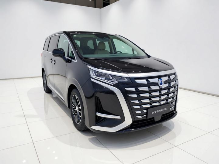 D9 2022 DM-i 970 AWD Noble photo 3