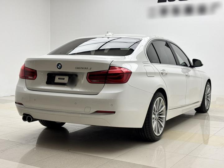 3 Series 2019 320Li Fashion photo 4