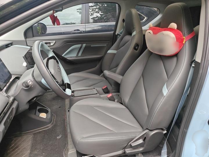 EV Chery Pro 2022 301km LFP photo 7