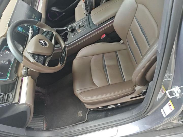 Han 2020 DM AWD Performance Luxury photo 6