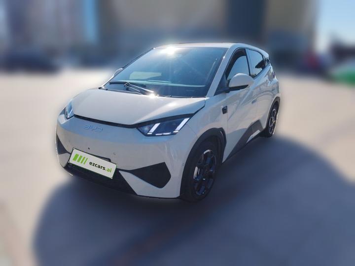Seagull 2025 ADAS 305km
